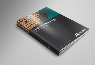 深圳企業(yè)畫冊設(shè)計的成功之道 時間與形象策劃并重